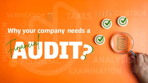 Financial Audit